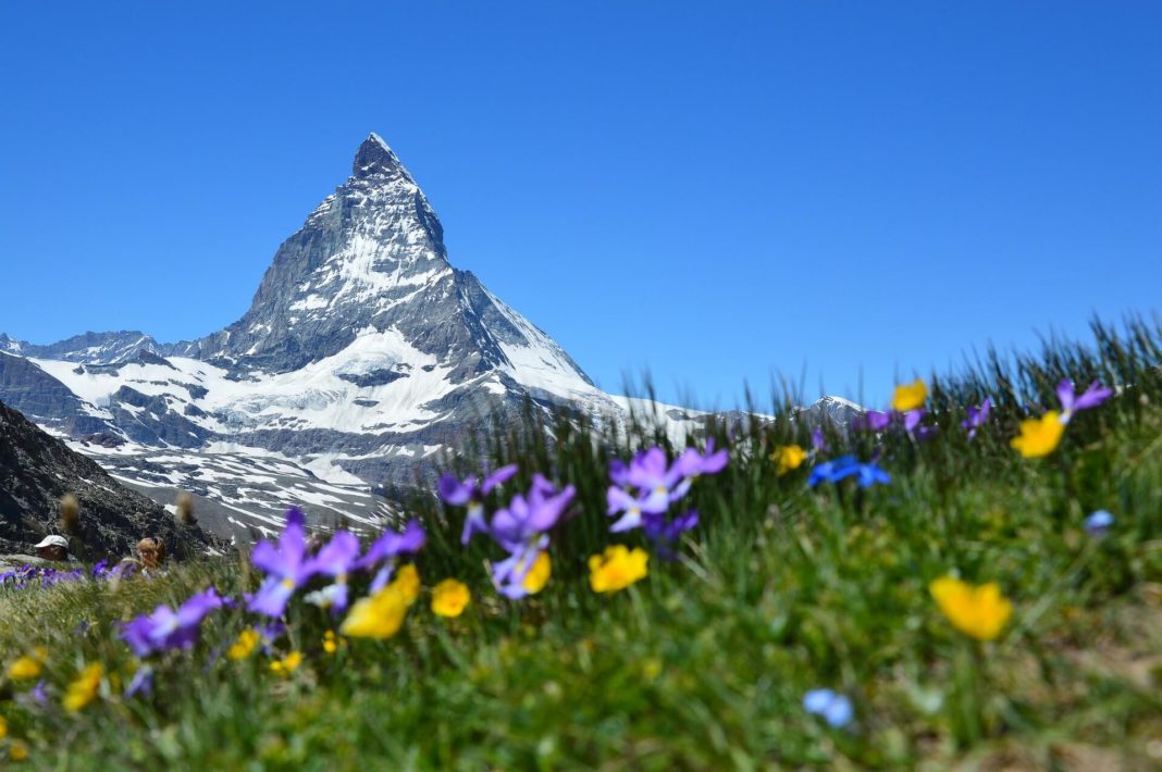 ALPEN-Methode Zeitmanagement - Produktivität im HomeOffice steigern - Tagesablauf richtig planen und organisieren