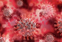 Home-Office Umfragen zur Corona-Krise Home-Office Corona Umfrage - Arbeiten von zu Hause - Arbeitnehmer Arbeitgeber Unternehmen Angestellte