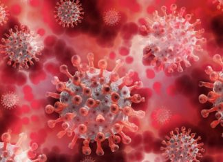 Home-Office Umfragen zur Corona-Krise Home-Office Corona Umfrage - Arbeiten von zu Hause - Arbeitnehmer Arbeitgeber Unternehmen Angestellte